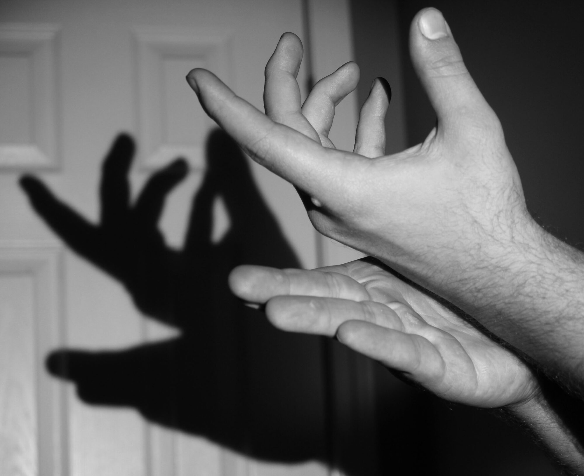 Black and White Photo of hands creating a shadow puppet