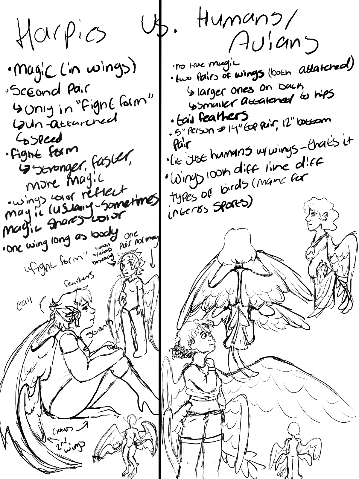 Art of harpies/Humans with wings